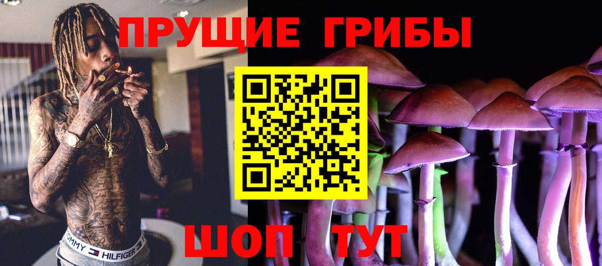 Галлюциногенные грибы ЛСД  Вход с VPN  Бердск 